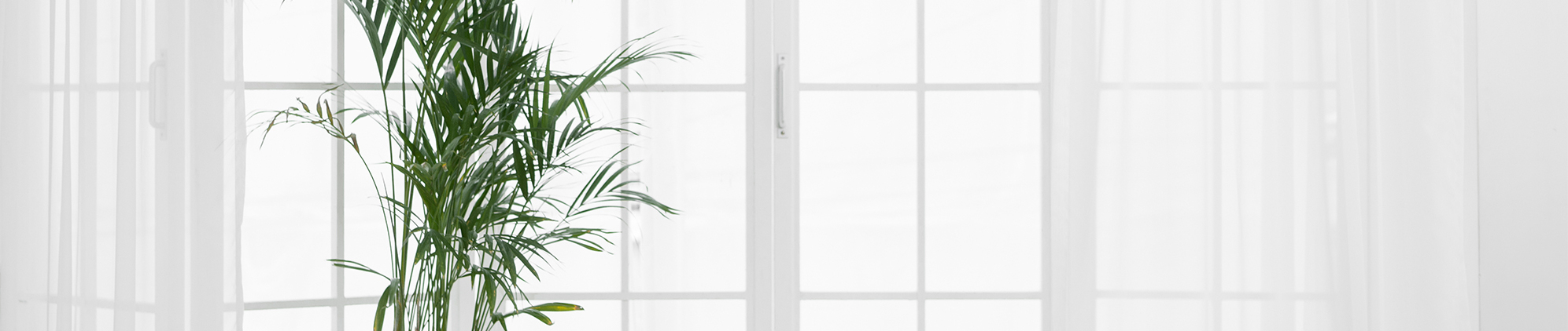 한결크린 PC 비주얼 0